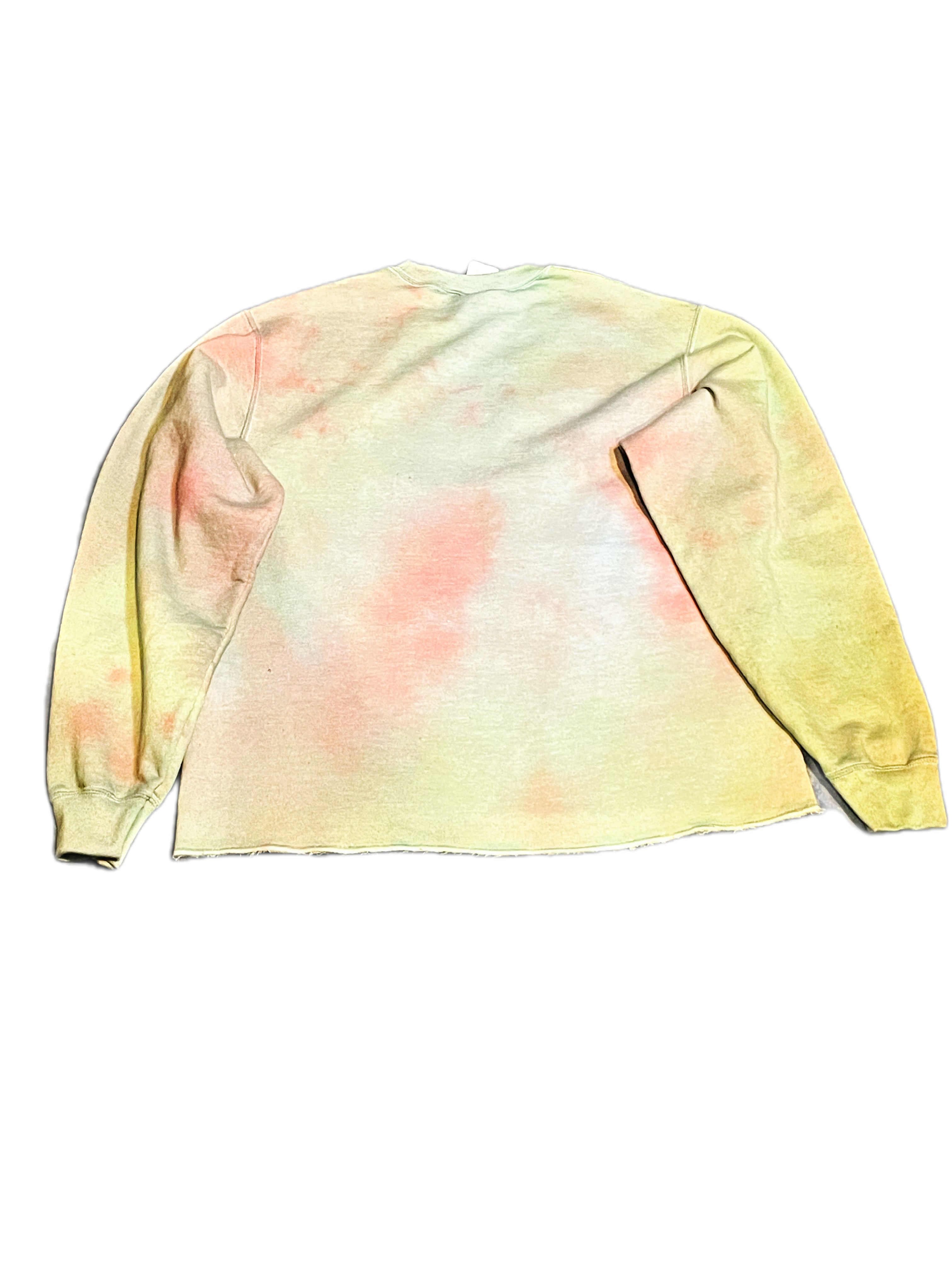 PoisonLove Gold Skull Green space pull over Cropped